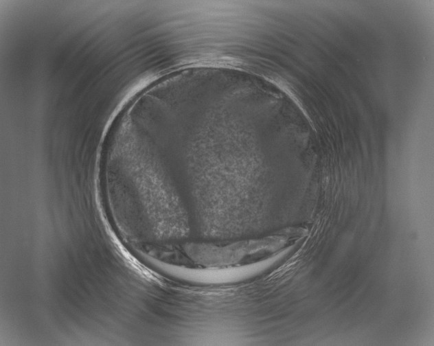 X0000055971139200509091437