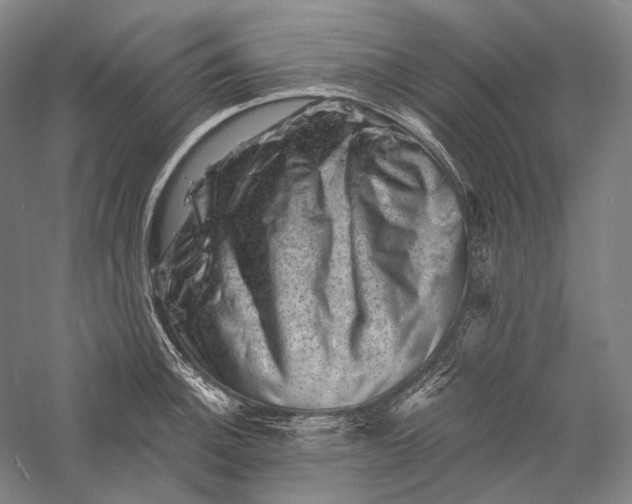 X0000055971140200509091437