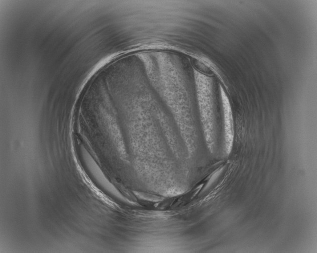 X0000055971142200509091437