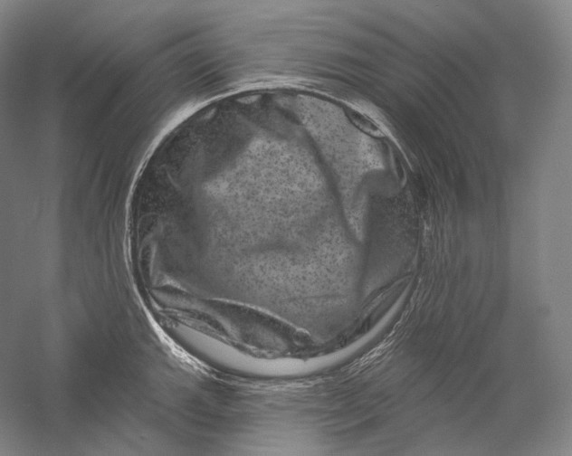 X0000055971143200509091437