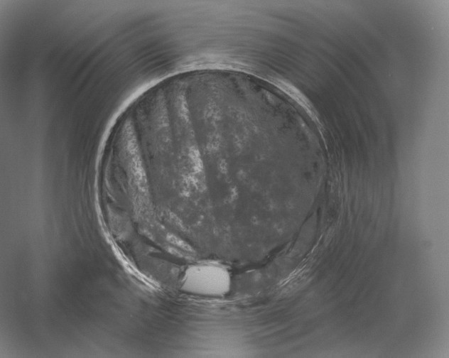 X0000055971144200509091437