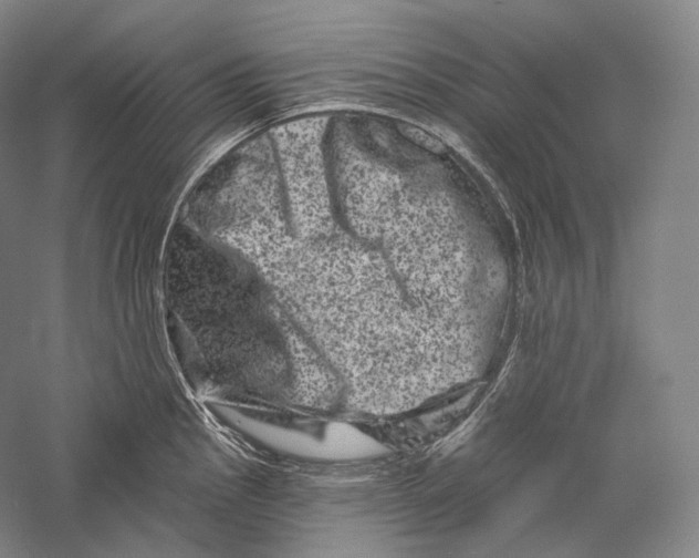 X0000055971145200509091437