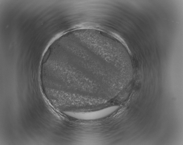 X0000055971146200509091437