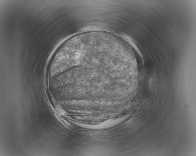 X0000055971148200509091437