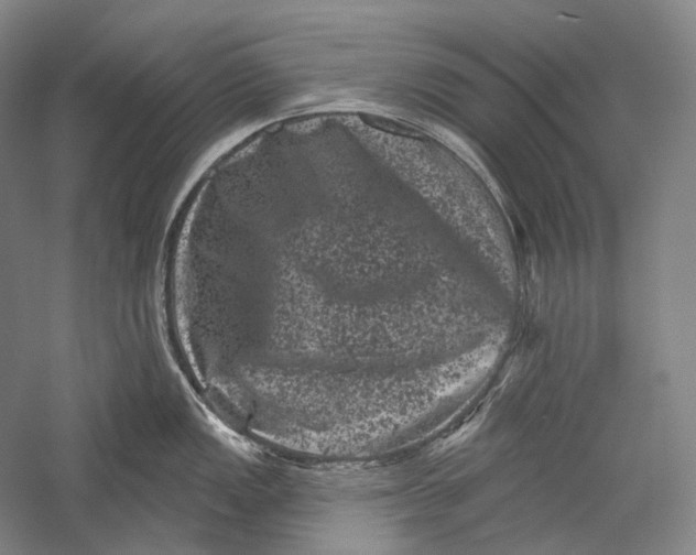 X0000055971149200509091437