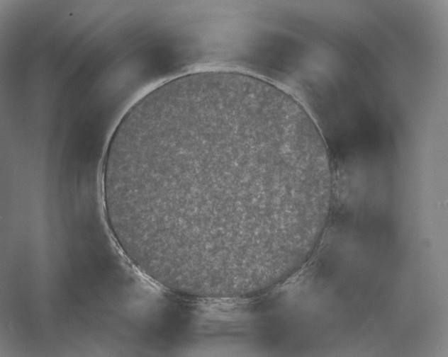 X0000055971150200509091437