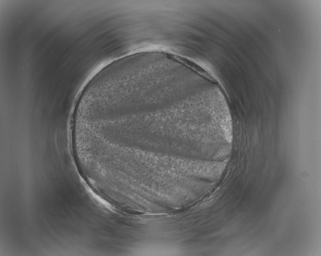 X0000055971151200509091437