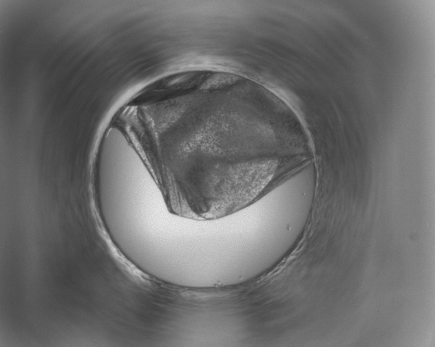 X0000055971152200509091437