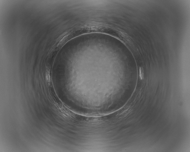 X0000055971155200509091436