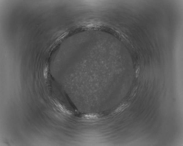 X0000055971156200509091436