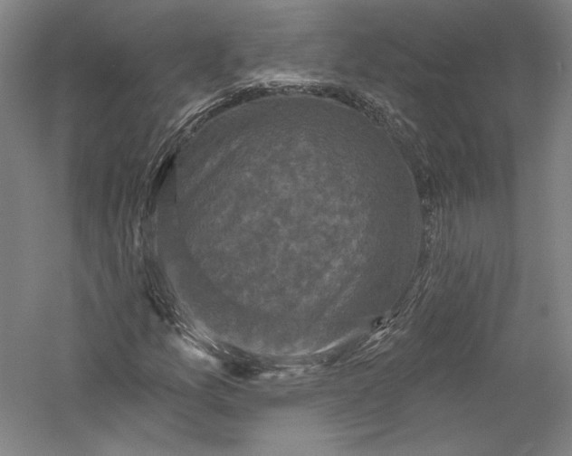 X0000055971157200509091436