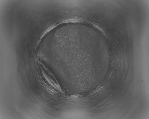 X0000055971160200509091436