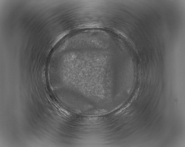 X0000055971162200509091436