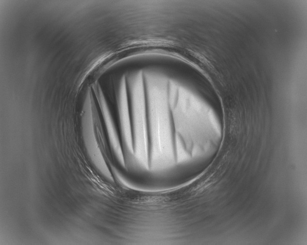 X0000055971163200509091436