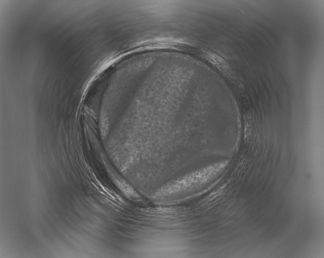 X0000055971164200509091436