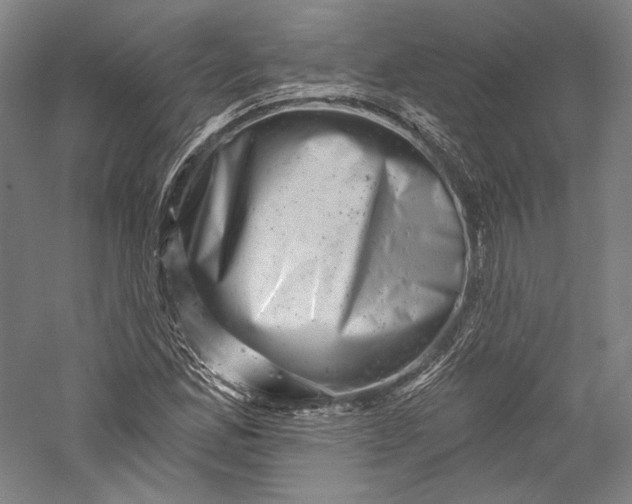 X0000055971165200509091436