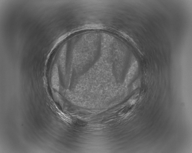 X0000055971168200509091436