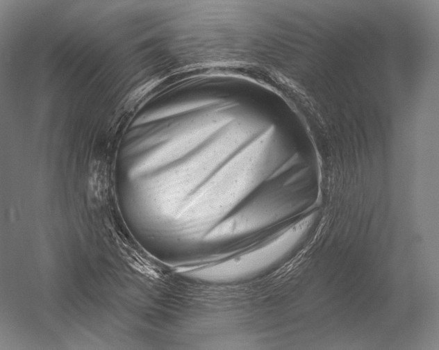 X0000055971169200509091436