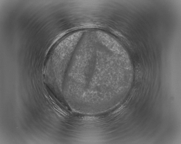 X0000055971170200509091436