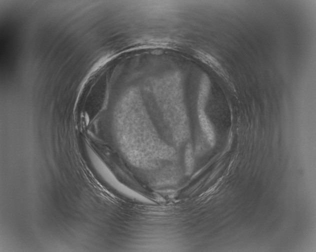 X0000055971172200509091436