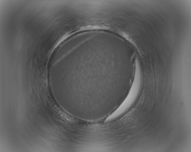 X0000055971173200509091436