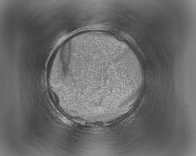 X0000055971176200509091436