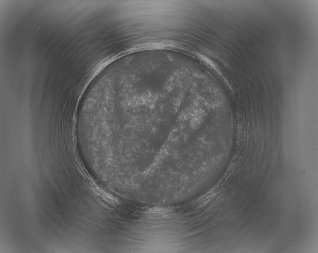 X0000055971178200509091436