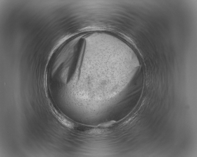 X0000055971179200509091436