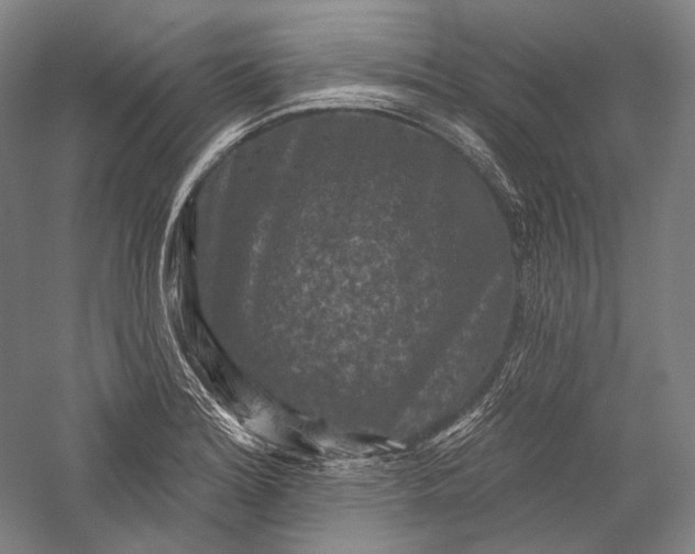 X0000055971180200509091436