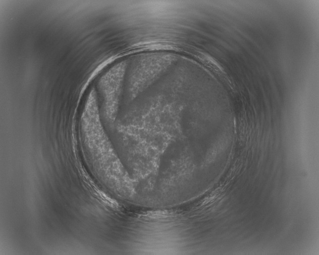 X0000055971182200509091436