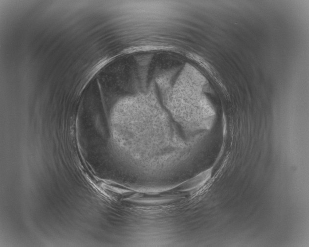 X0000055971185200509091436