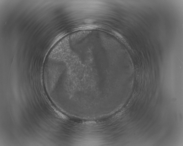 X0000055971186200509091436