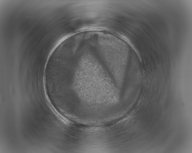 X0000055971187200509091436