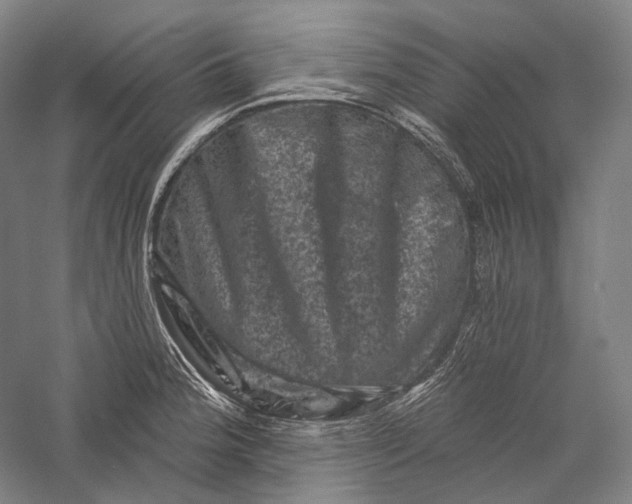 X0000055971188200509091436