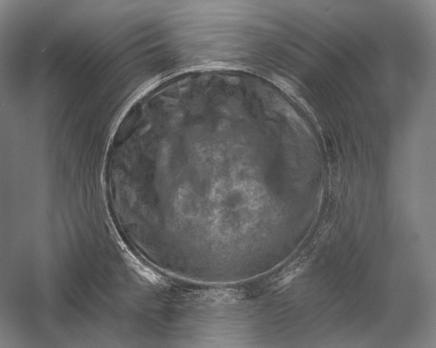 X0000055971189200509091436