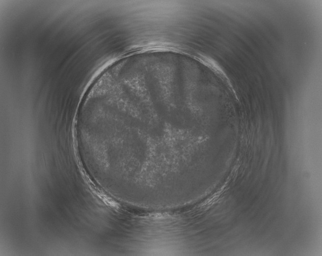 X0000055971190200509091436