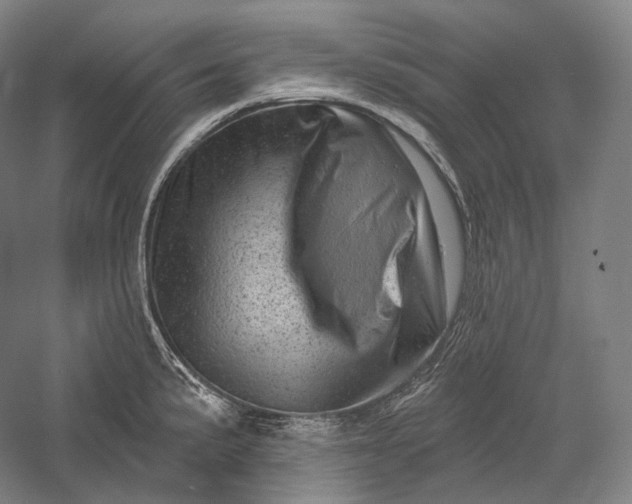 X0000055971191200509091436