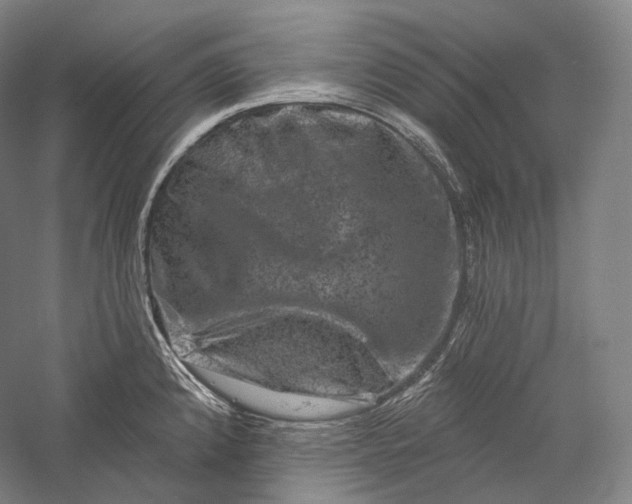 X0000055971192200509091436