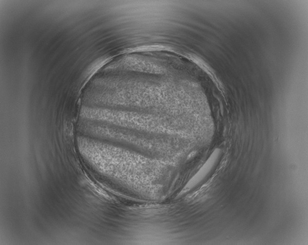 X0000055971193200509091436