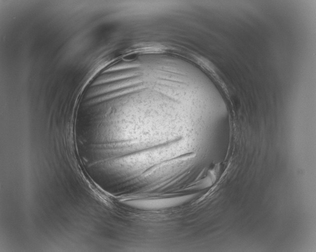 X0000055971194200509091436