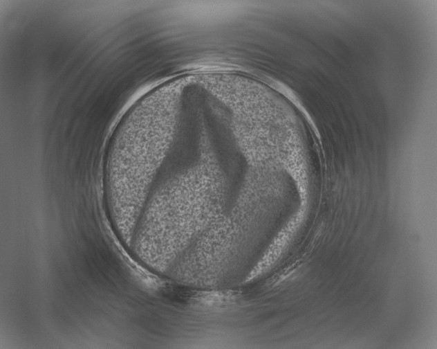 X0000055971195200509091436