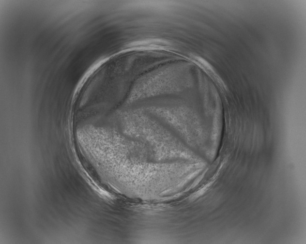 X0000055971196200509091436