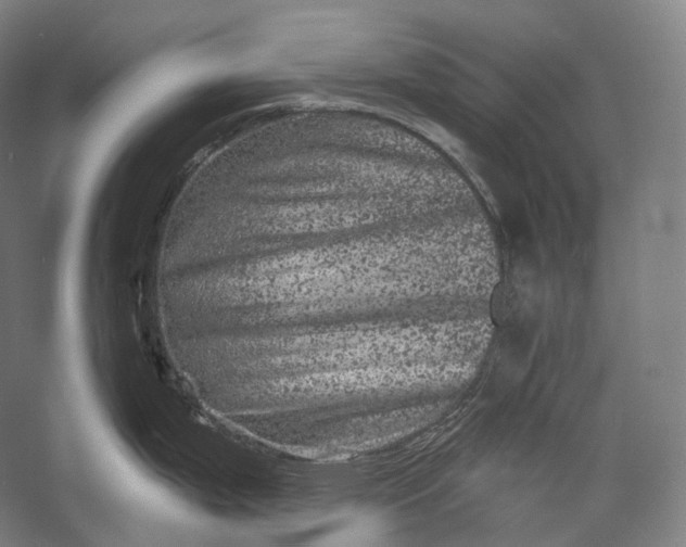 X0000055971199200509091436