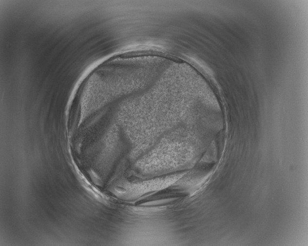 X0000055971200200509091436