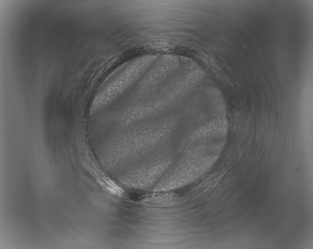 X0000055971201200509091435