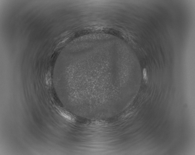 X0000055971203200509091435