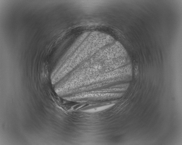 X0000055971204200509091435