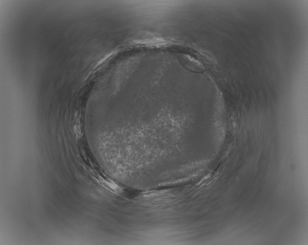 X0000055971205200509091435