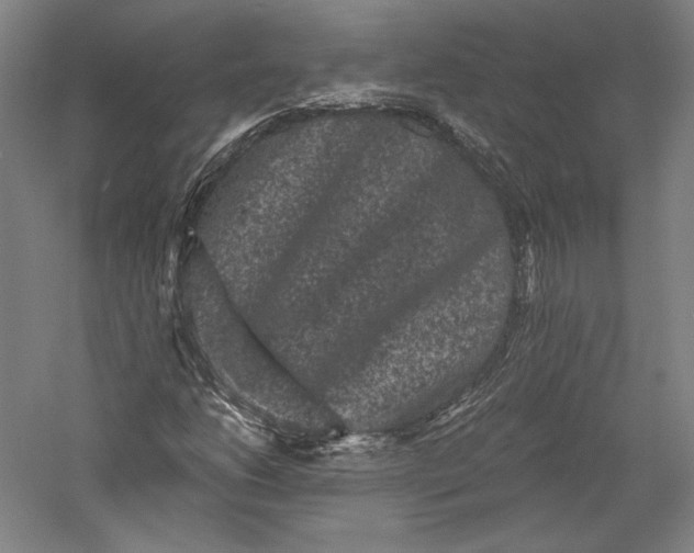 X0000055971206200509091435