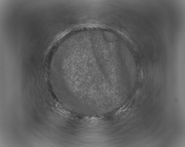 X0000055971207200509091435